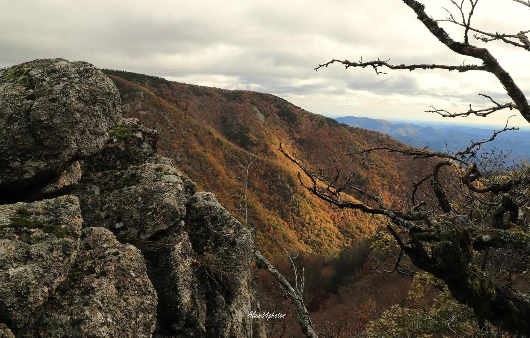 Grand Gite, Mas Favieres Notre-Dame-de-la-Rouvière Extérieur photo